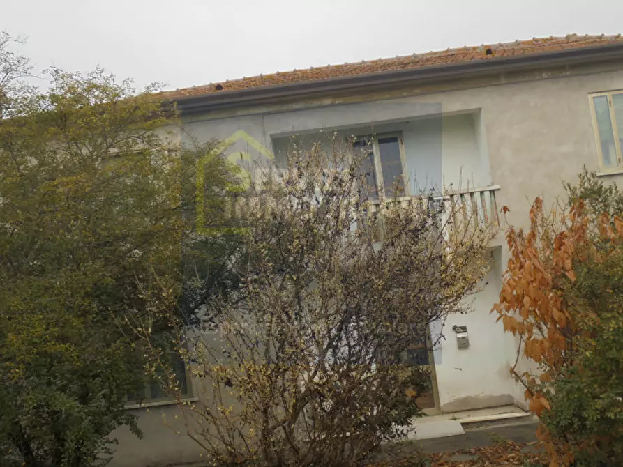 Immagine 41 di Casa indipendente in vendita  in Via Paolino a Fratta Polesine