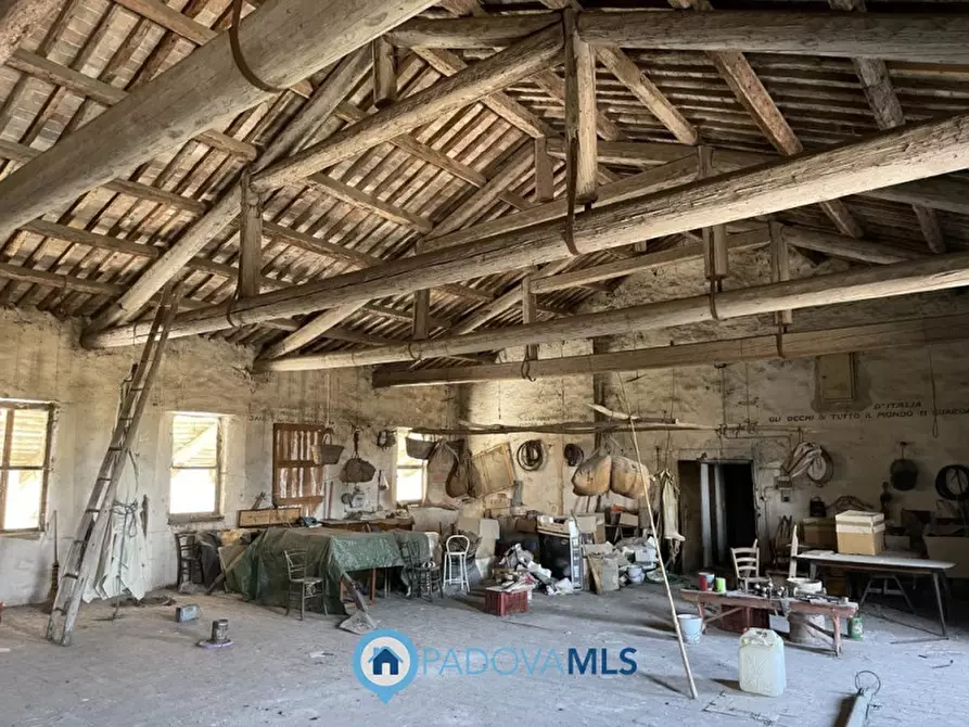 Immagine 9 di Villa in vendita  in VIA ARGINE SINISTRO BECCARA 10 a Cartura