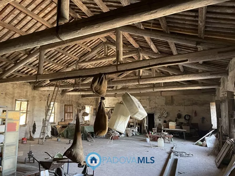 Immagine 10 di Villa in vendita  in VIA ARGINE SINISTRO BECCARA 10 a Cartura