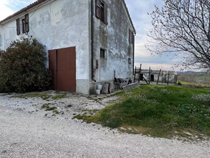 Immagine 16 di Rustico / casale in vendita  in Via San Vincenzo a Ostra