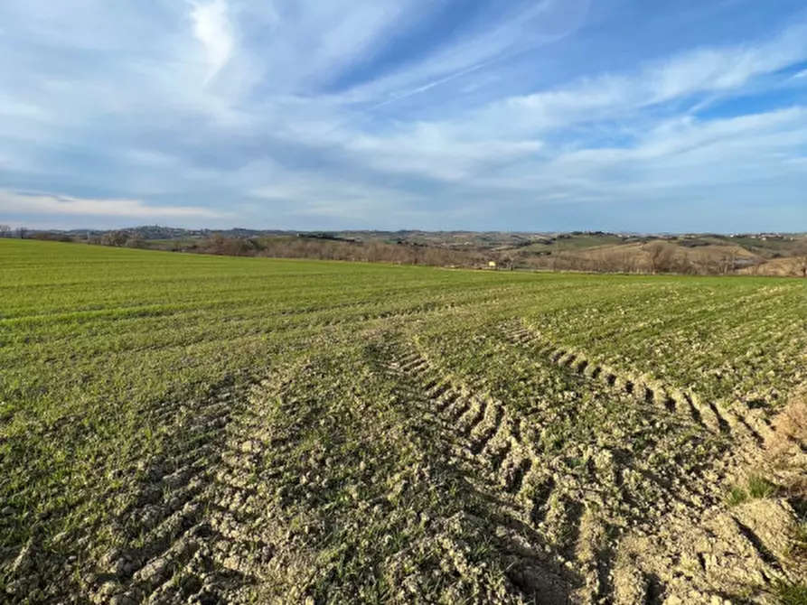 Immagine 20 di Rustico / casale in vendita  in Via San Vincenzo a Ostra