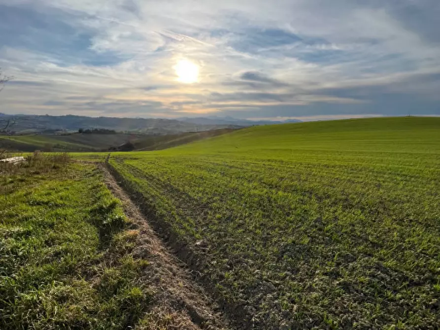 Immagine 21 di Rustico / casale in vendita  in Via San Vincenzo a Ostra