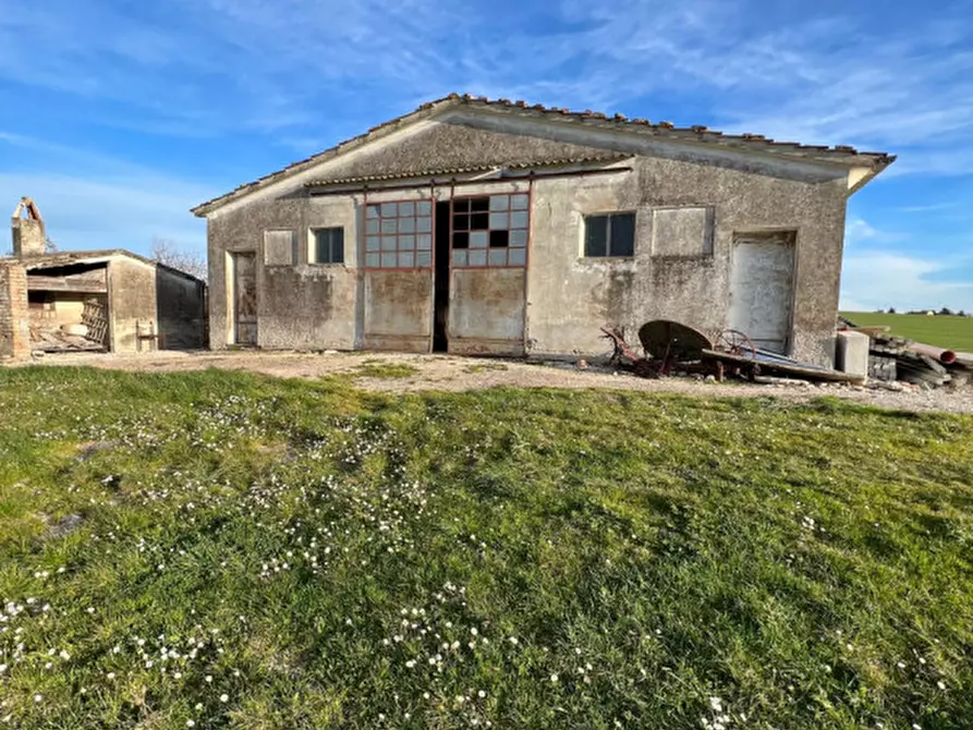 Immagine 22 di Rustico / casale in vendita  in Via San Vincenzo a Ostra