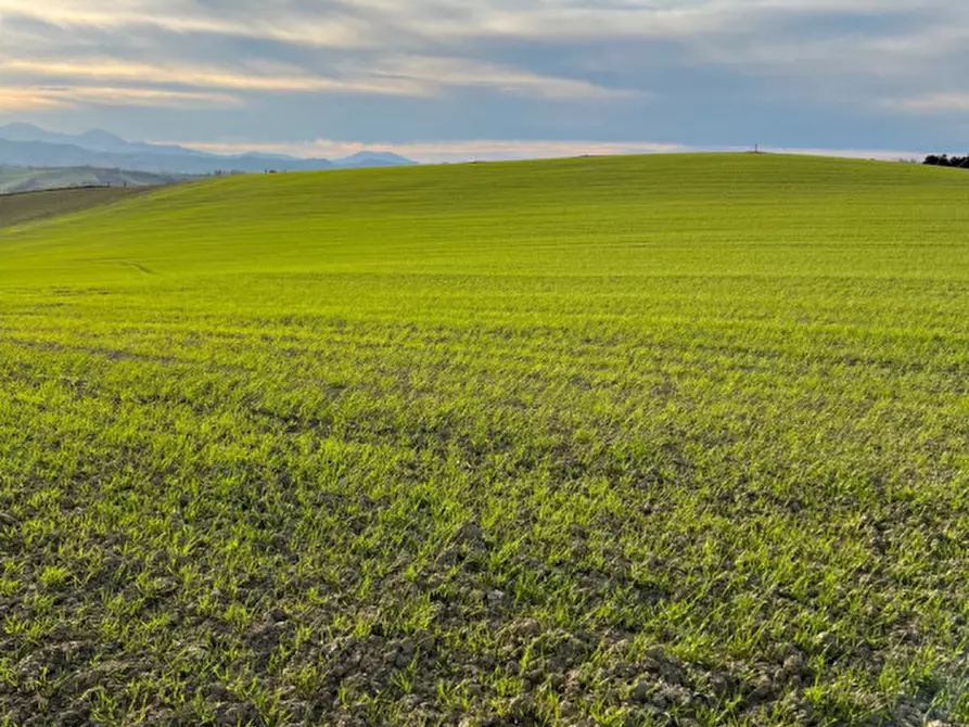 Immagine 36 di Rustico / casale in vendita  in Via San Vincenzo a Ostra