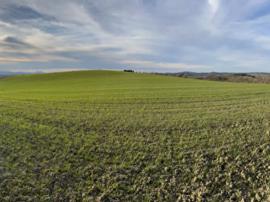 Immagine 37 di Rustico / casale in vendita  in Via San Vincenzo a Ostra