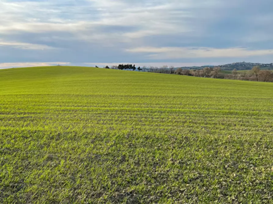 Immagine 40 di Rustico / casale in vendita  in Via San Vincenzo a Ostra