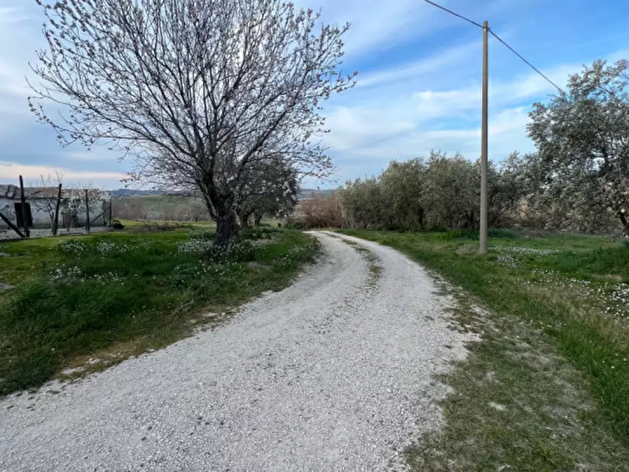 Immagine 41 di Rustico / casale in vendita  in Via San Vincenzo a Ostra