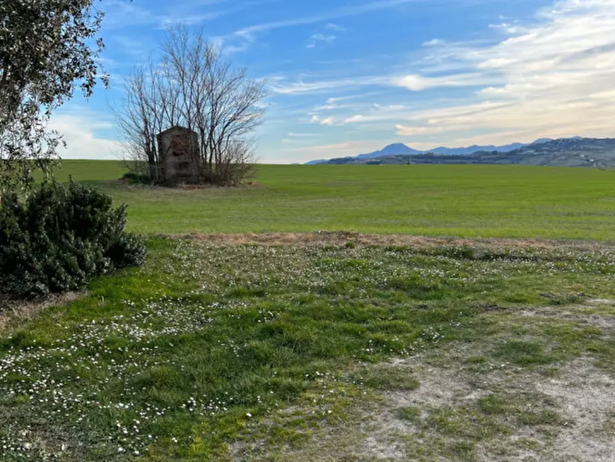 Immagine 42 di Rustico / casale in vendita  in Via San Vincenzo a Ostra