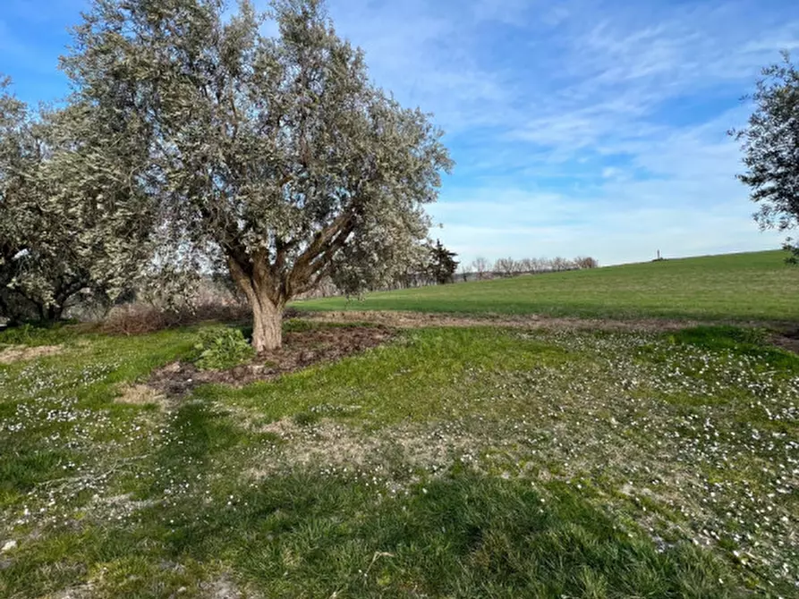 Immagine 45 di Rustico / casale in vendita  in Via San Vincenzo a Ostra
