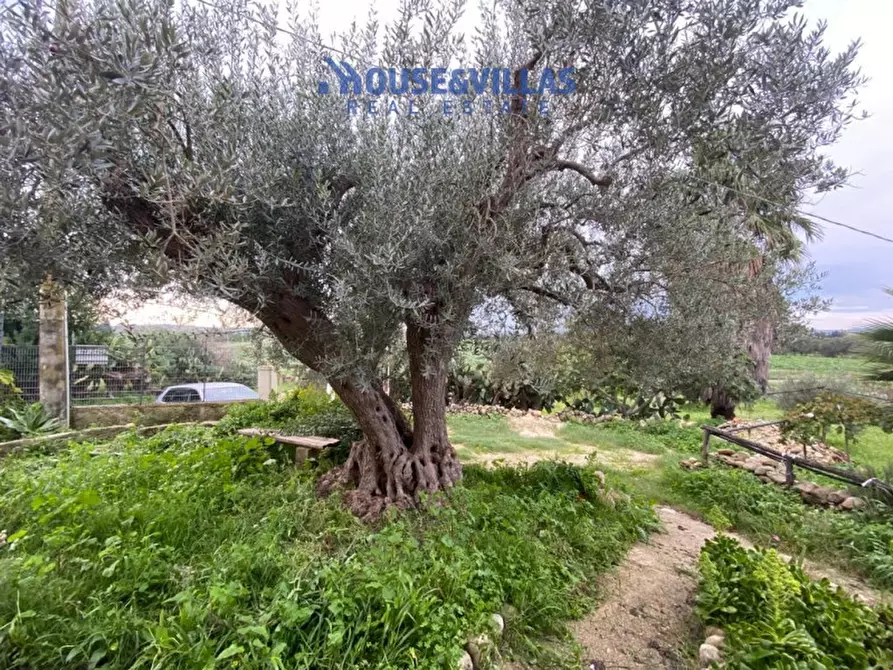 Immagine 3 di Villa in vendita  in sp19 noto a Noto