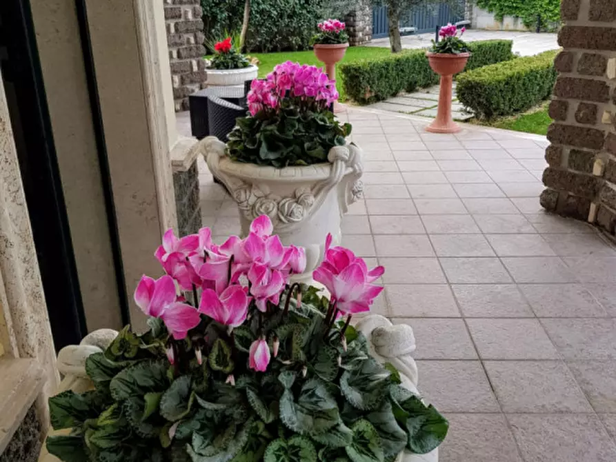 Immagine 12 di Villa in vendita  in via bologna a Fiano Romano