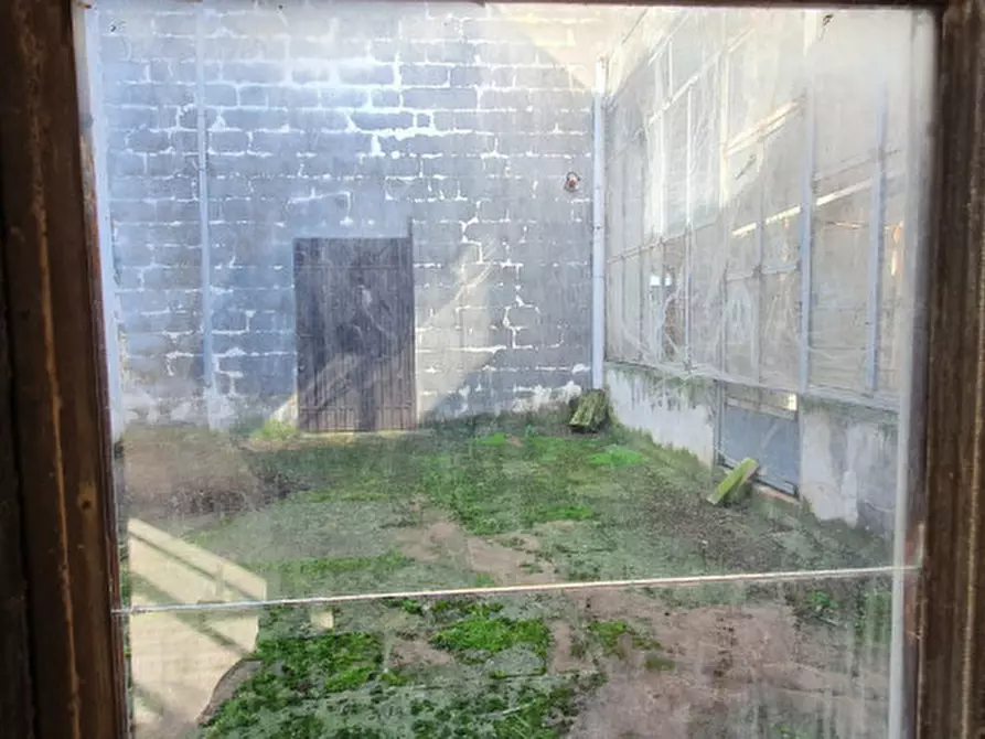 Immagine 16 di Casa indipendente in vendita  in Via Togliatti a Aradeo