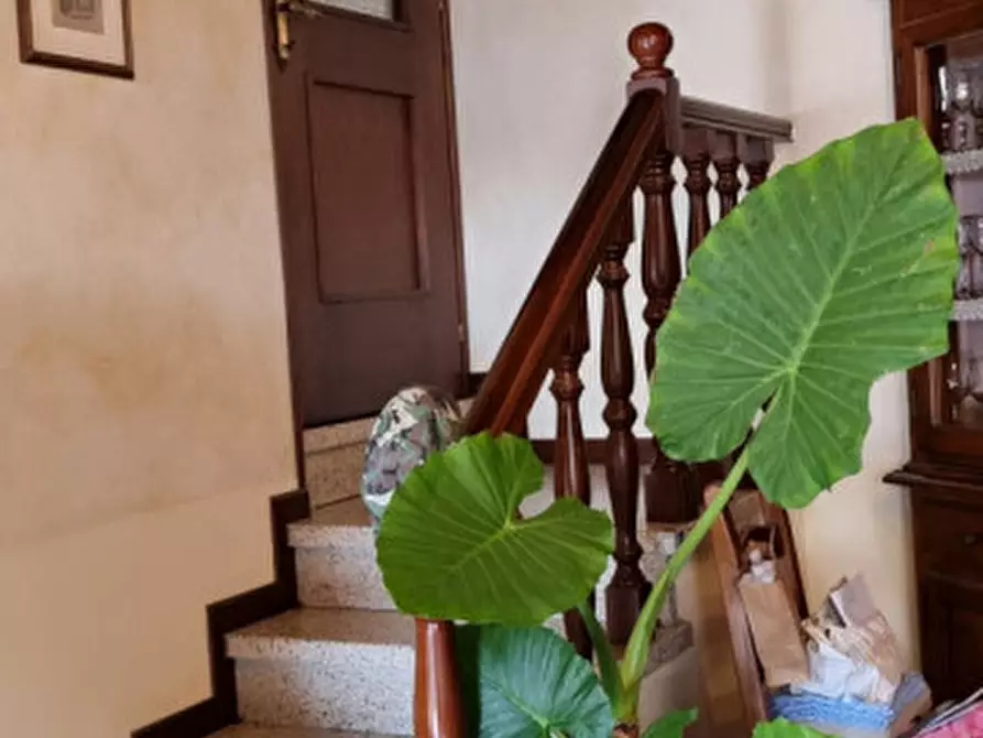 Immagine 9 di Rustico / casale in vendita  in Via Costa a Arqua' Petrarca