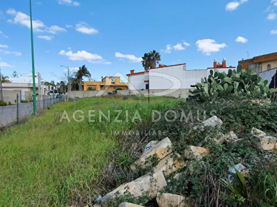 Immagine 5 di Terreno in vendita  in Via F. Baracca a Racale