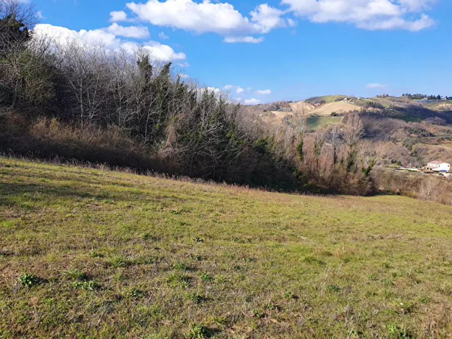 Immagine 3 di Casa trifamiliare in vendita  in VIA COMANDINI a Roncofreddo