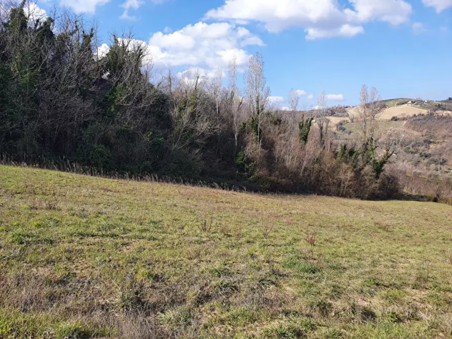 Immagine 11 di Casa trifamiliare in vendita  in VIA COMANDINI a Roncofreddo