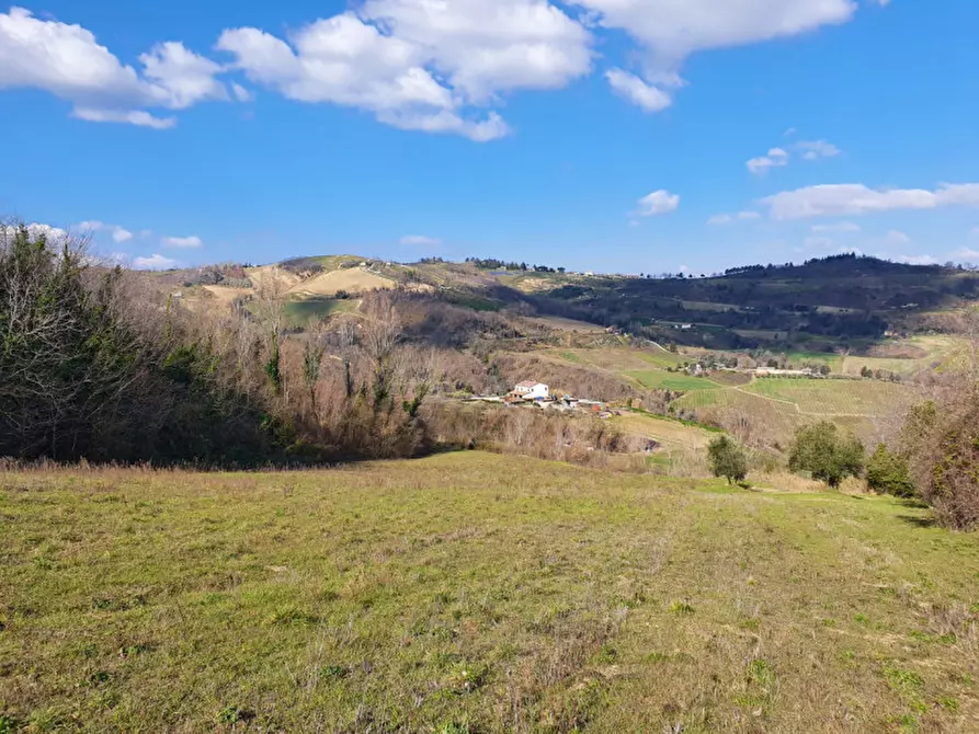 Immagine 17 di Casa trifamiliare in vendita  in VIA COMANDINI a Roncofreddo