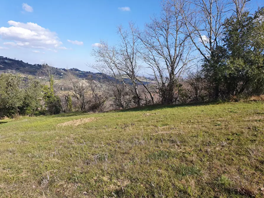 Immagine 26 di Casa trifamiliare in vendita  in VIA COMANDINI a Roncofreddo