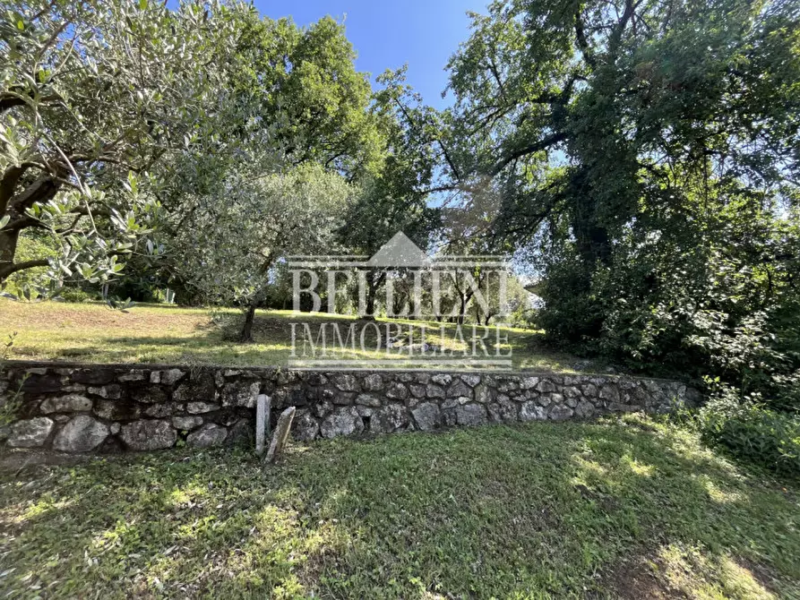 Immagine 21 di Villa in vendita  in Via Riva a Creazzo