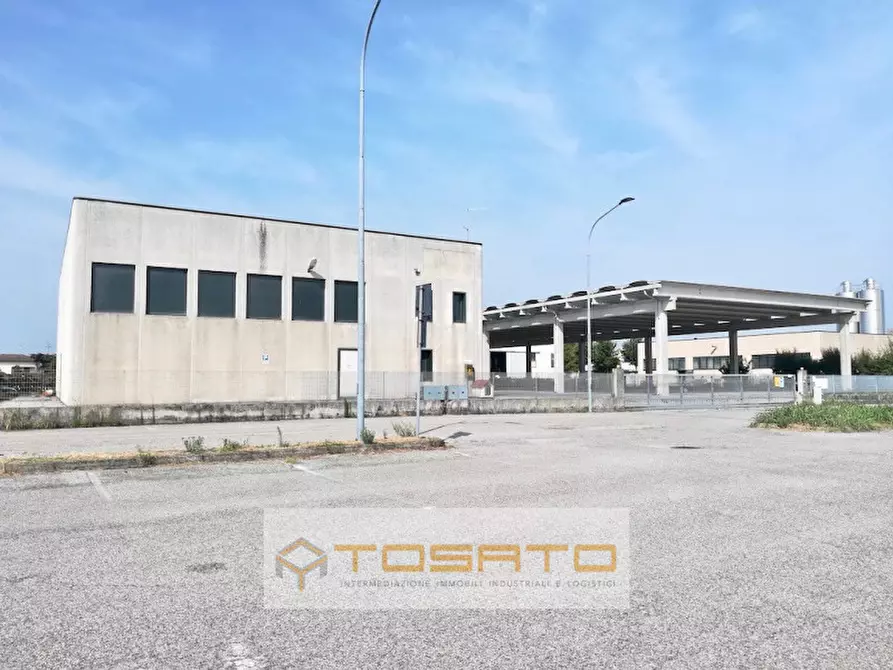 Immagine 6 di Capannone industriale in vendita  a Casaleone