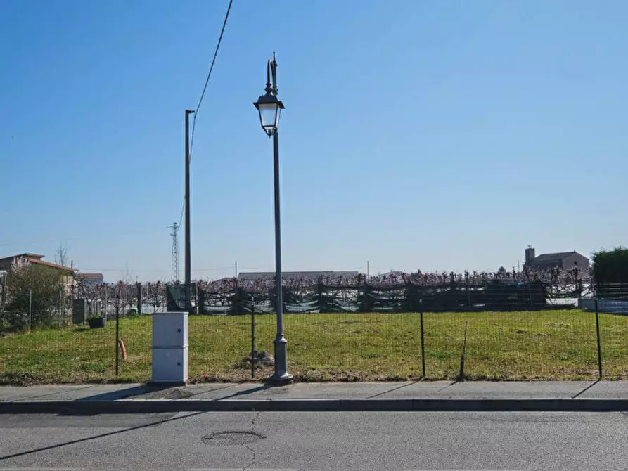 Immagine 6 di Terreno in vendita  a Pernumia