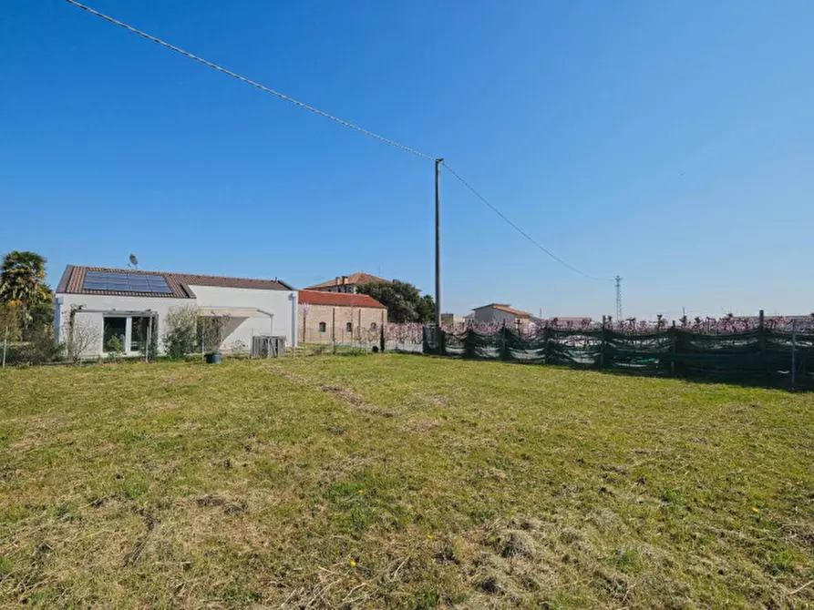 Immagine 8 di Terreno in vendita  a Pernumia