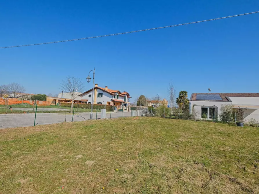 Immagine 9 di Terreno in vendita  a Pernumia