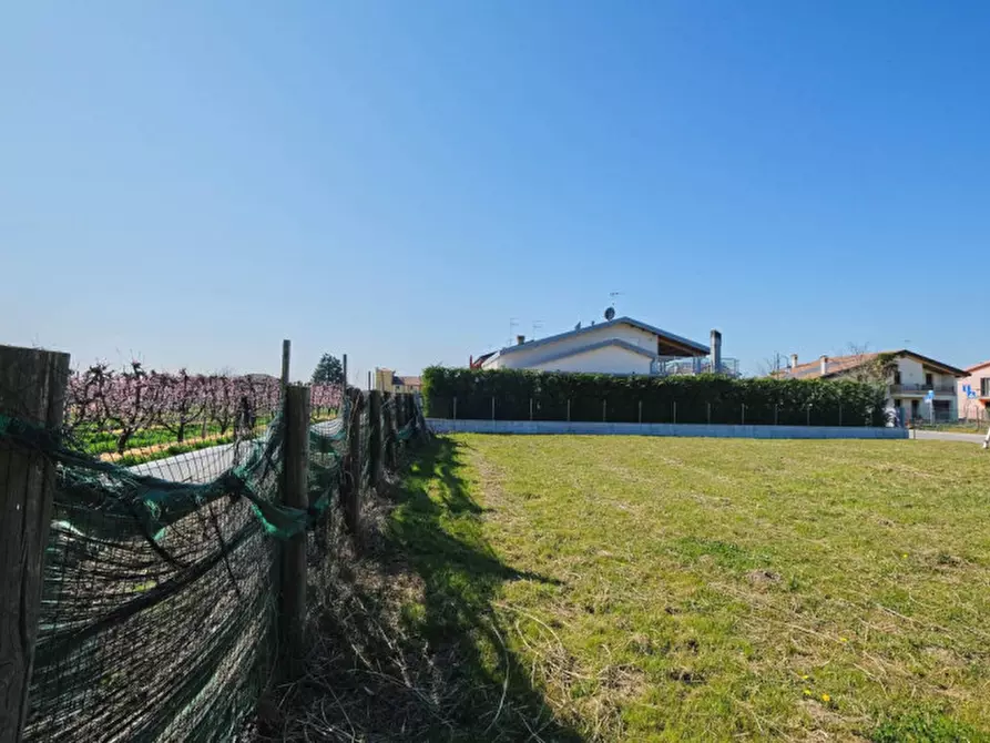 Immagine 12 di Terreno in vendita  a Pernumia