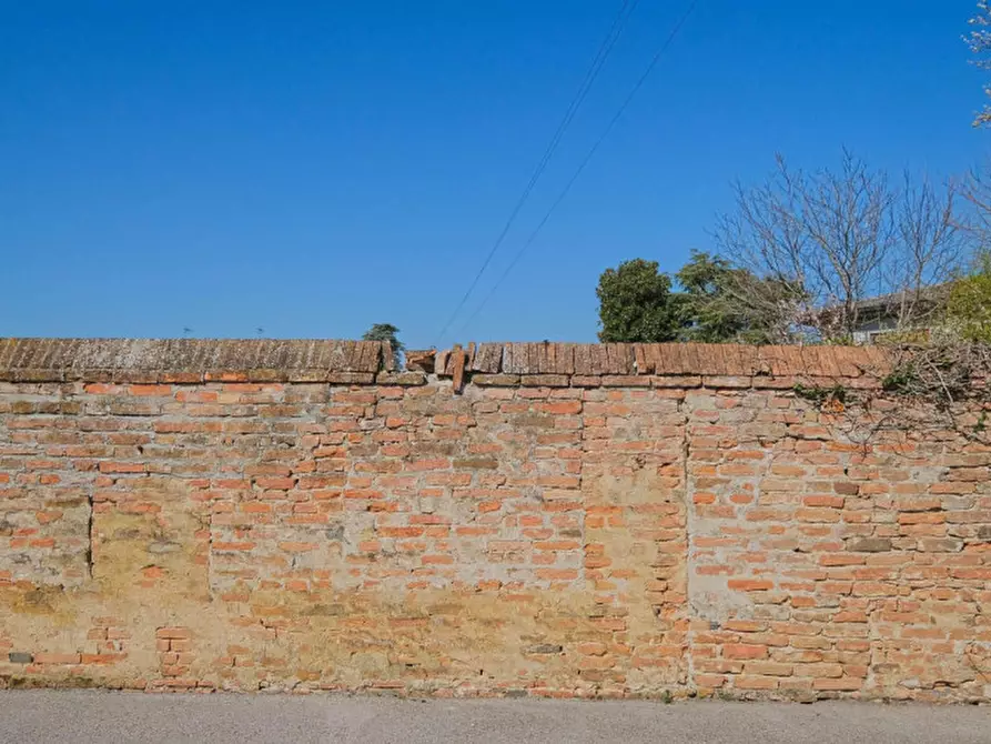 Immagine 13 di Terreno in vendita  a Pernumia