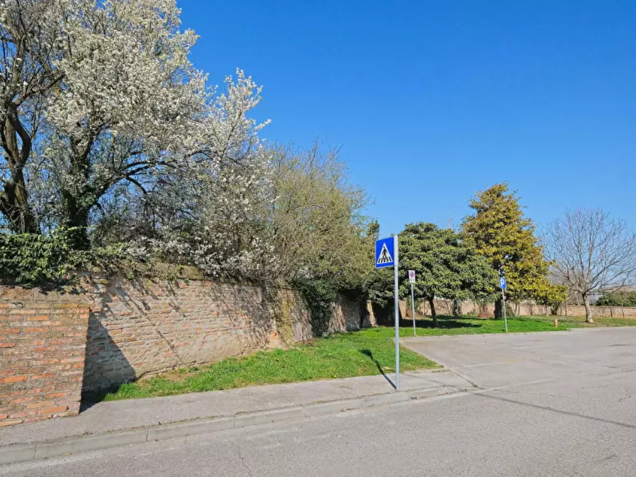 Immagine 14 di Terreno in vendita  a Pernumia