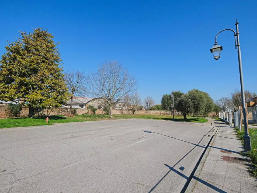 Immagine 15 di Terreno in vendita  a Pernumia