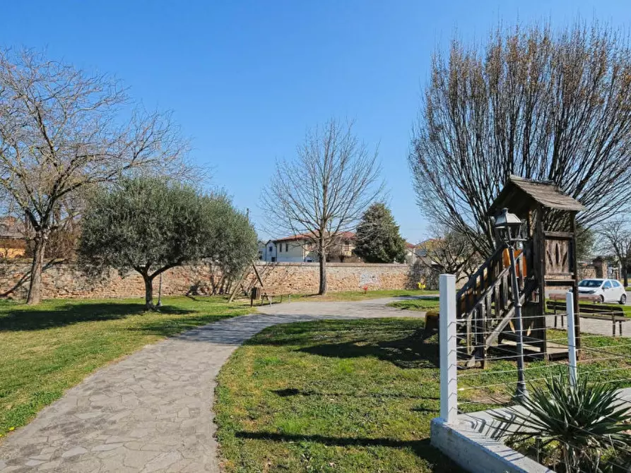 Immagine 17 di Terreno in vendita  a Pernumia