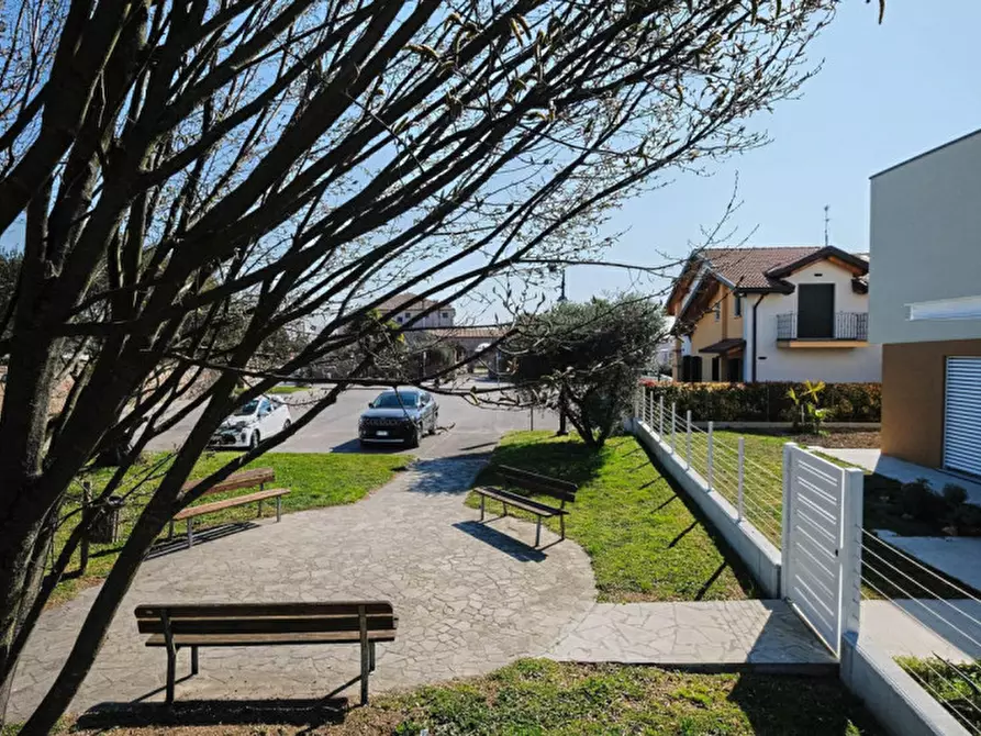 Immagine 18 di Terreno in vendita  a Pernumia