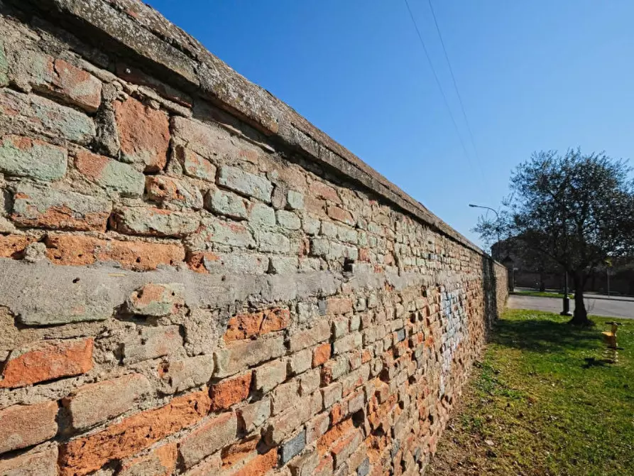 Immagine 20 di Terreno in vendita  a Pernumia