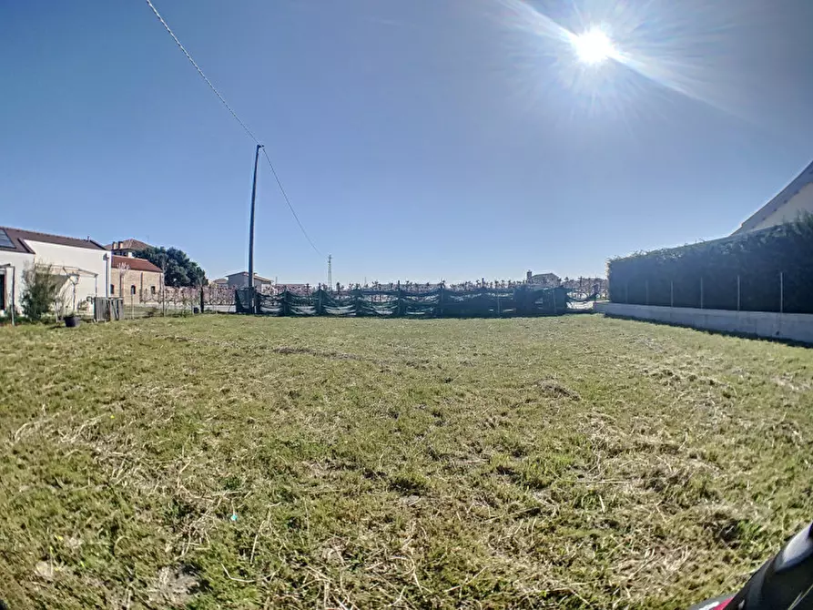 Immagine 26 di Terreno in vendita  a Pernumia