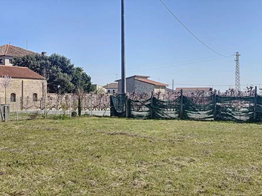 Immagine 29 di Terreno in vendita  a Pernumia