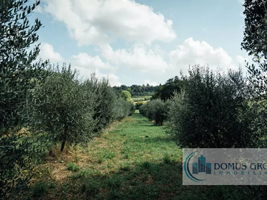 Immagine 25 di Rustico / casale in vendita  in Sant'Ermo a Casciana Terme Lari