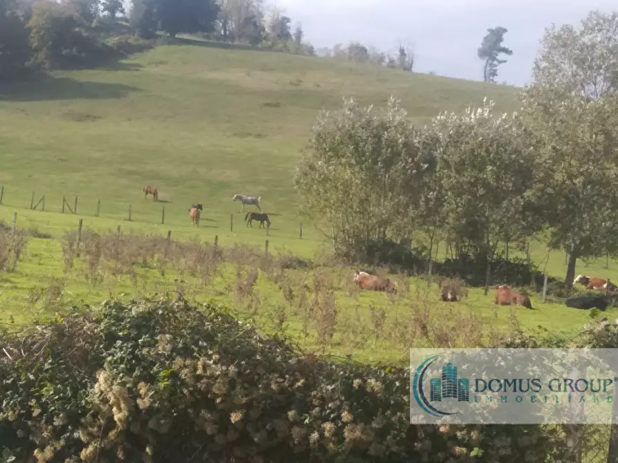 Immagine 28 di Rustico / casale in vendita  in Sant'Ermo a Casciana Terme Lari