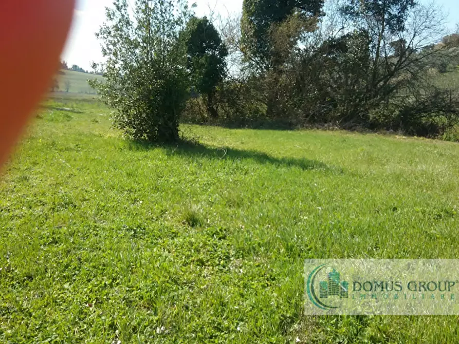 Immagine 104 di Rustico / casale in vendita  in Sant'Ermo a Casciana Terme Lari