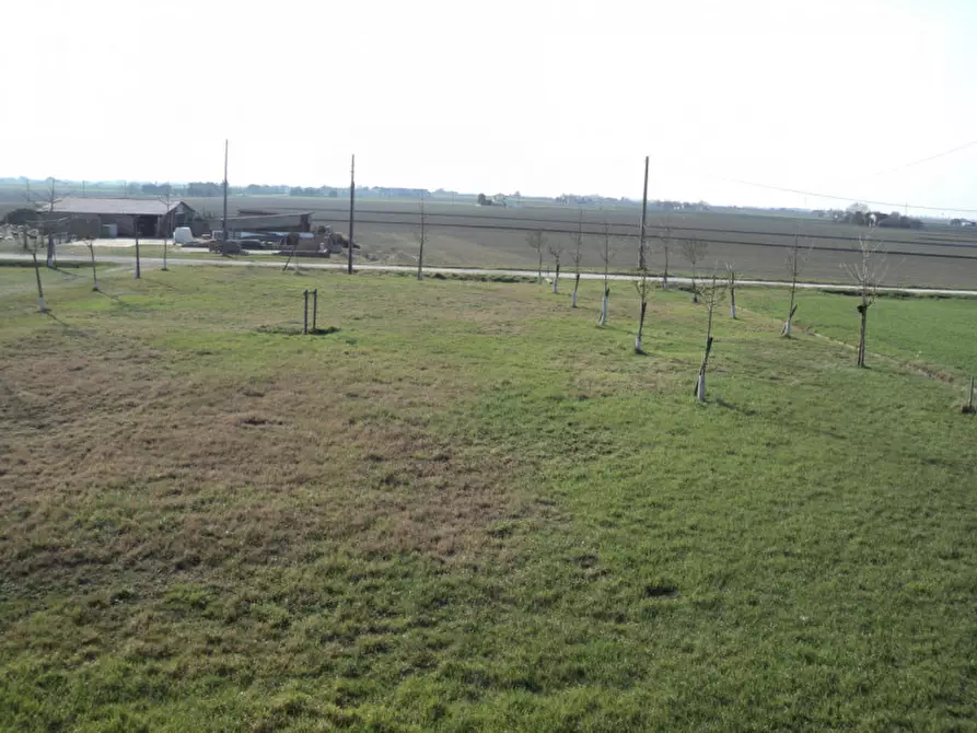 Immagine 33 di Casa indipendente in vendita  in VIA COLOMBANA a Jolanda Di Savoia