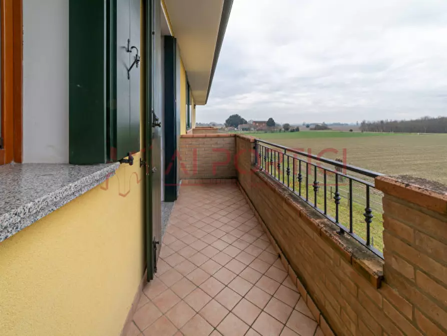 Immagine 14 di Appartamento in vendita  in Via Carraresi a Codevigo