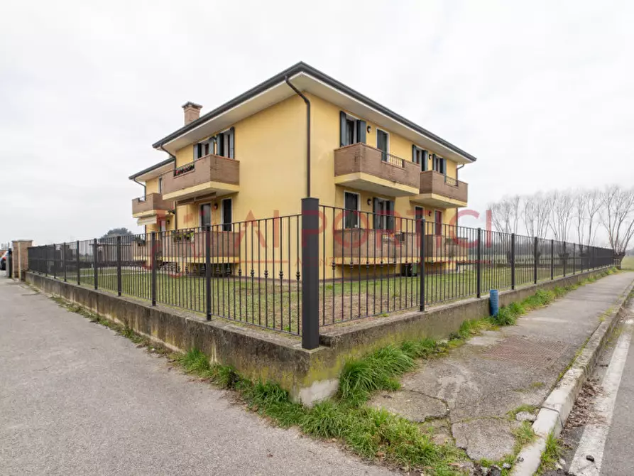 Immagine 21 di Appartamento in vendita  in Via Carraresi a Codevigo