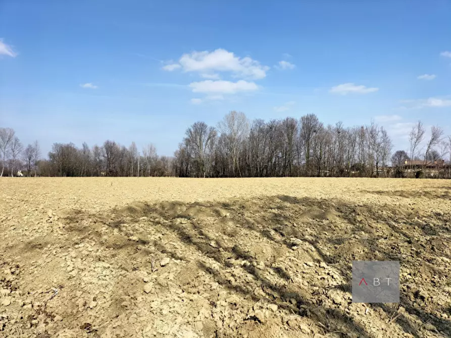 Immagine 2 di Terreno in vendita  a Camposampiero