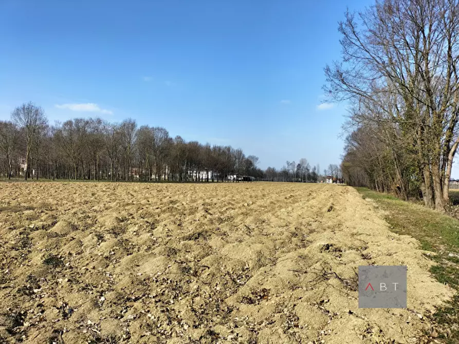 Immagine 2 di Terreno in vendita  a Camposampiero
