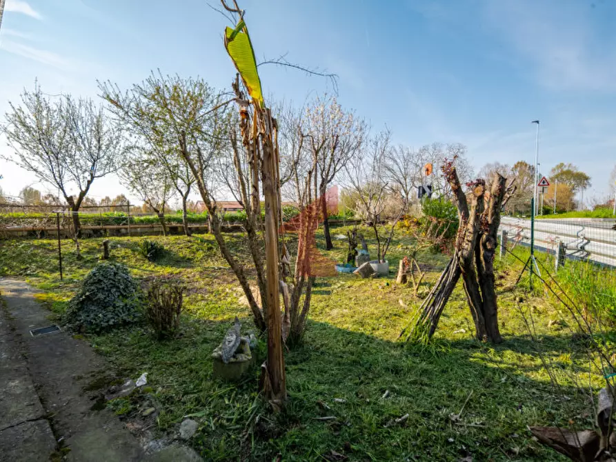 Immagine 36 di Villa in vendita  in Strada ghiara sabbioni a Fontanellato