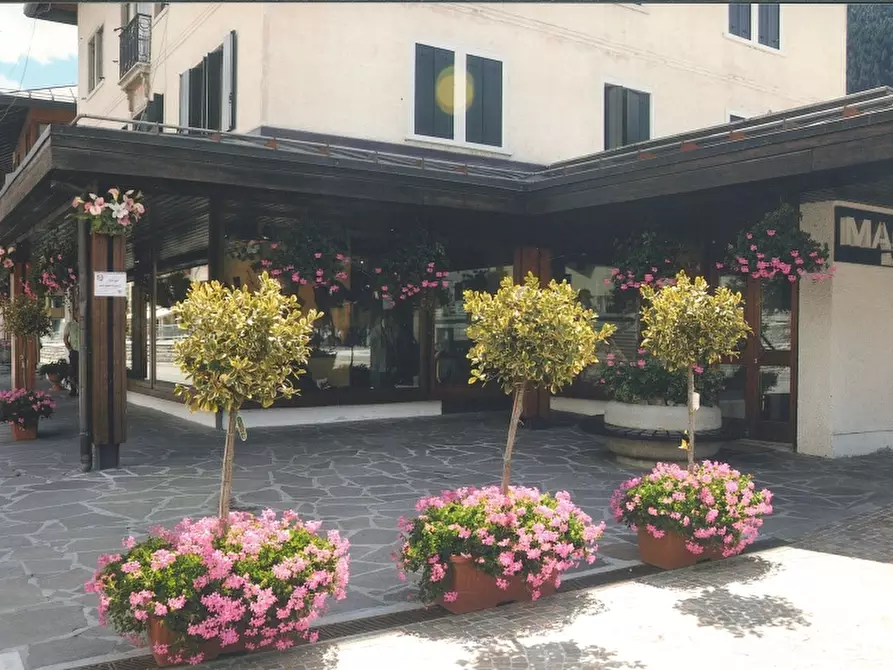 Immagine 2 di Negozio in vendita  in Piazza S. Giustina a Auronzo Di Cadore