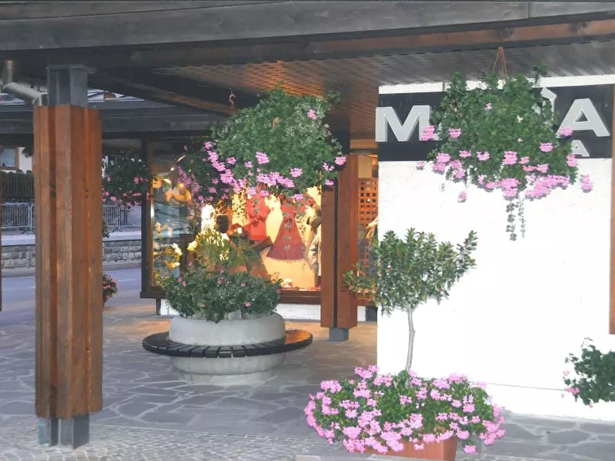 Immagine 3 di Negozio in vendita  in Piazza S. Giustina a Auronzo Di Cadore