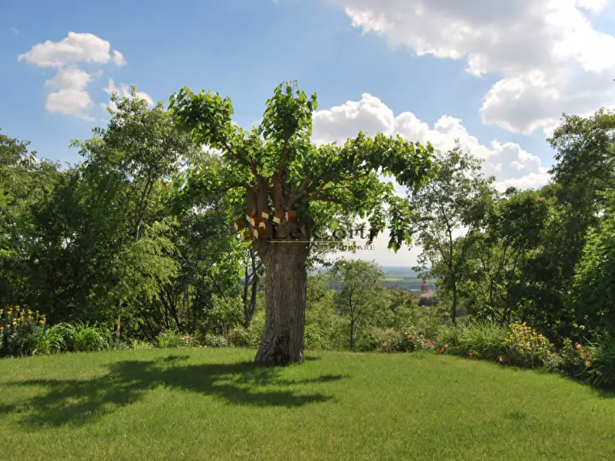 Immagine 6 di Villa in vendita  a Lonigo