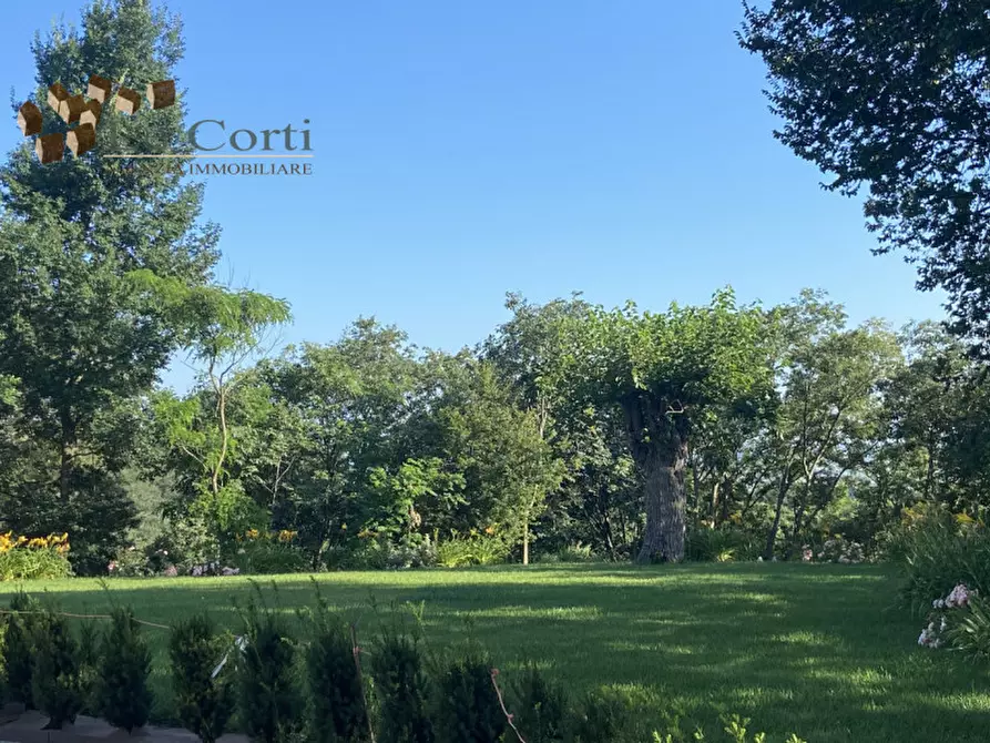 Immagine 6 di Villa in vendita  a Lonigo