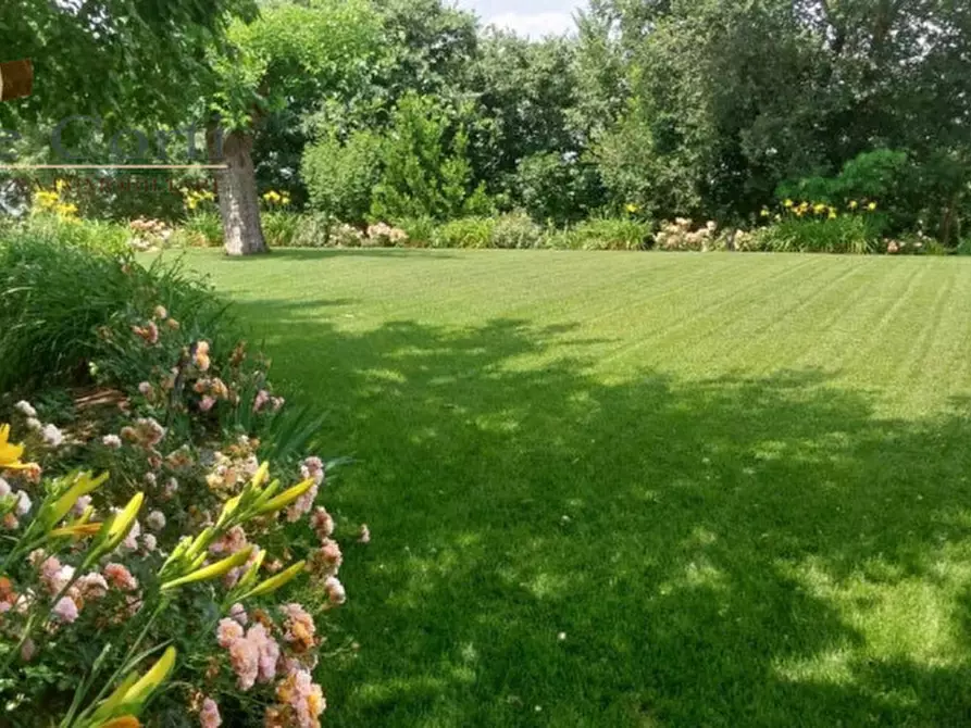 Immagine 9 di Villa in vendita  a Lonigo